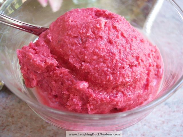 Cherry Ice Cream recipe